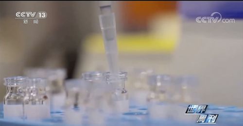 世界周刊丨疫情形势持续恶化 美国之 困 何时能化解