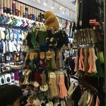 汇美国际服装城的全部评价-广州