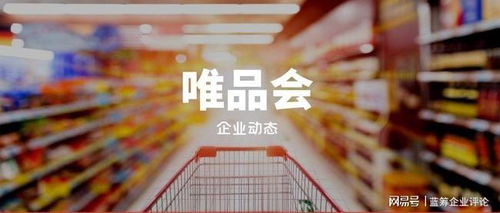 唯品会是一家什么样的公司